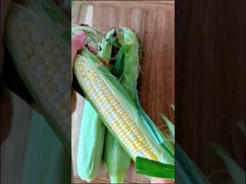 Air Fryer Corn Ribs with Garlic Butter Glaze